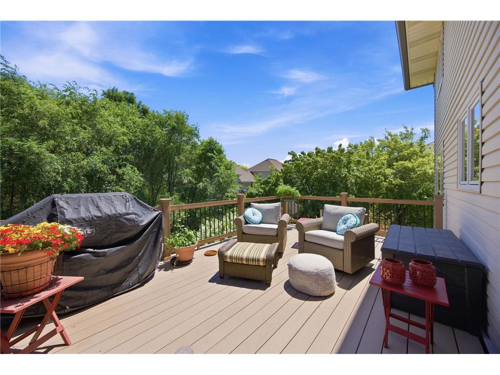 12611 Iwo Jima Court NE Blaine MN 55449 7110352 image31