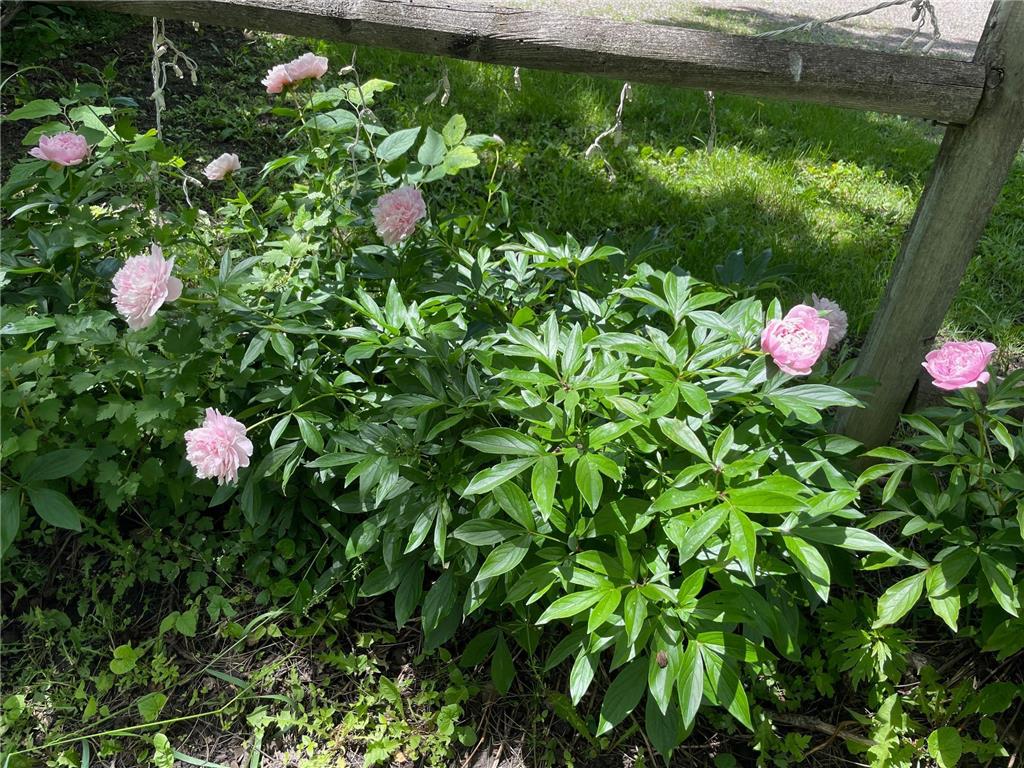 12624 US Highway 212 Sacred Heart MN 56285 6785482 image32