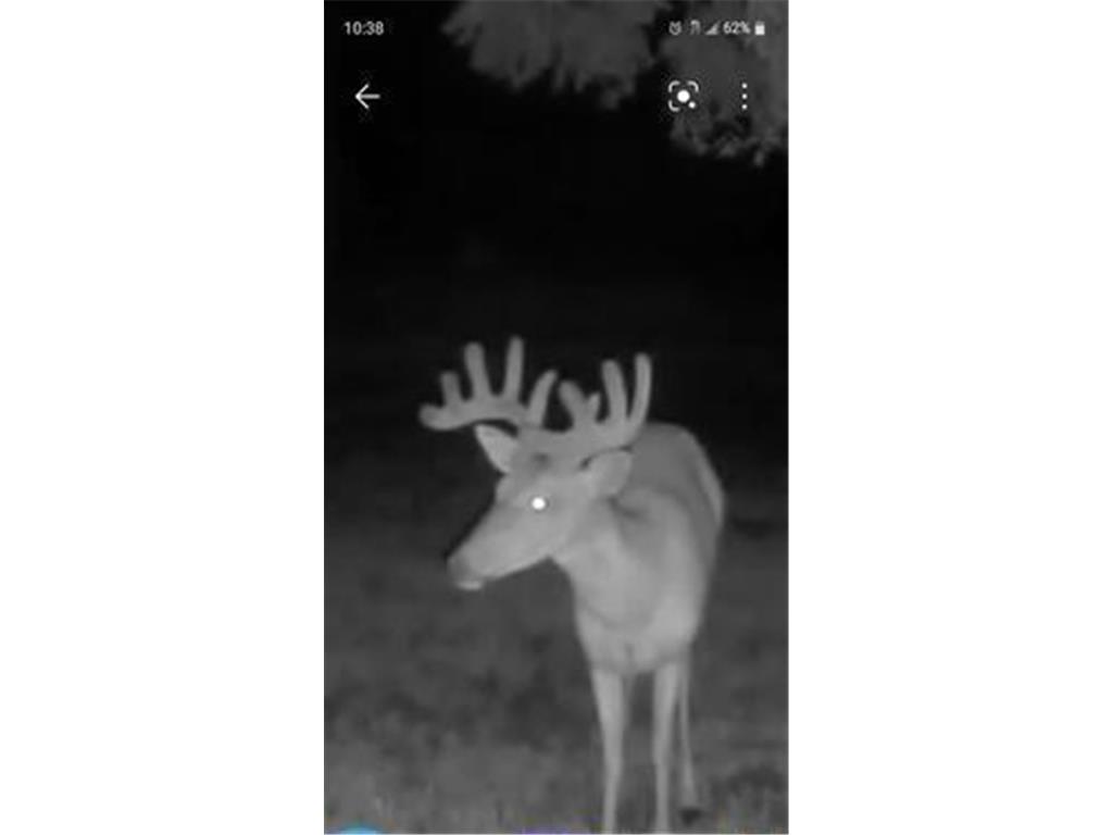 12624 US Highway 212 Sacred Heart MN 56285 6785482 image33