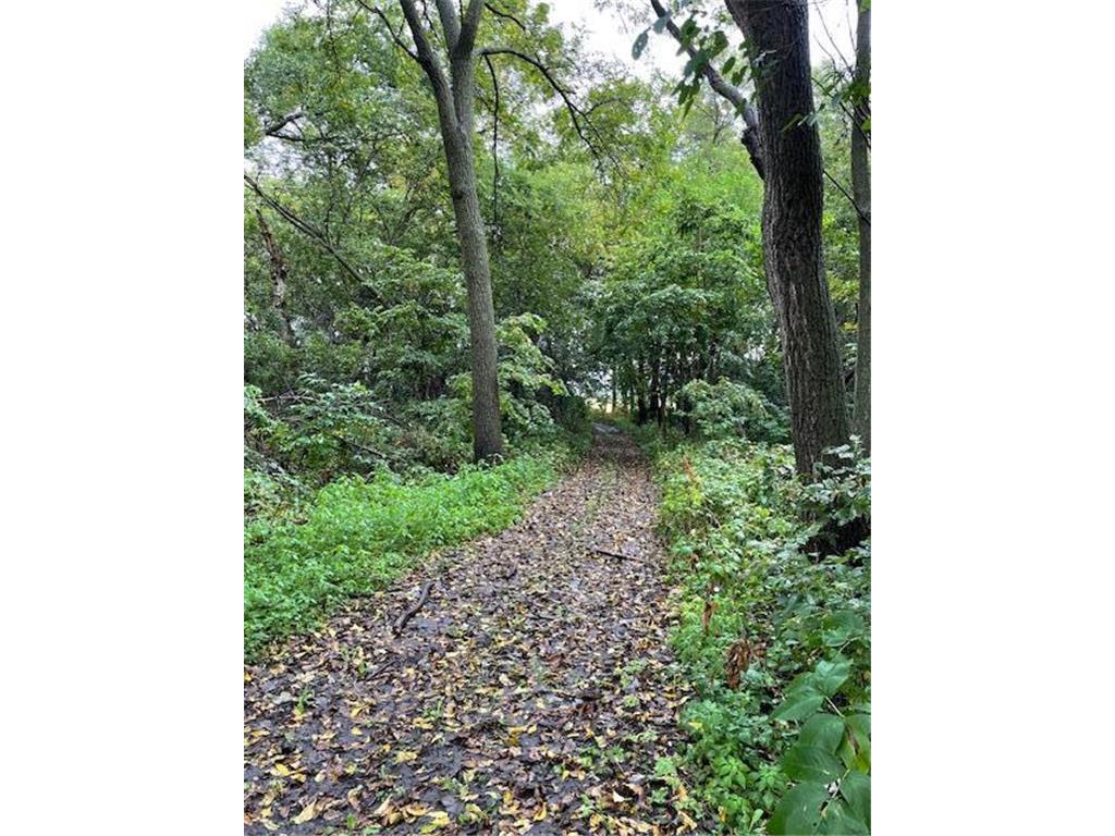 12624 US Highway 212 Sacred Heart MN 56285 6785482 image41