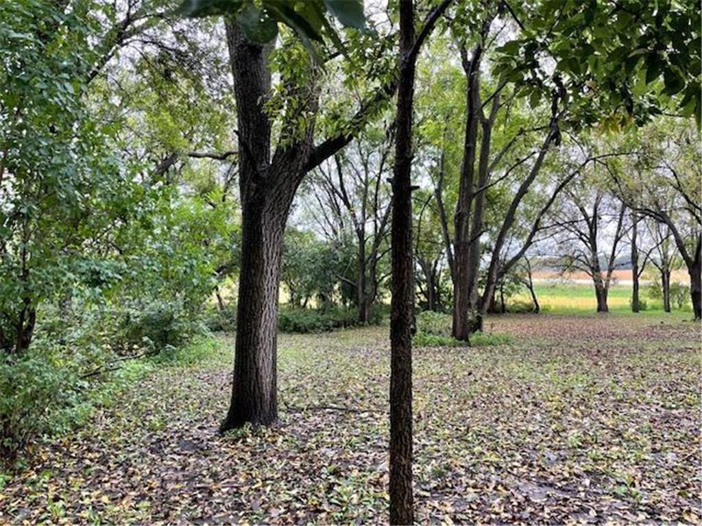 12624 US Highway 212 Sacred Heart MN 56285 6785482 image42