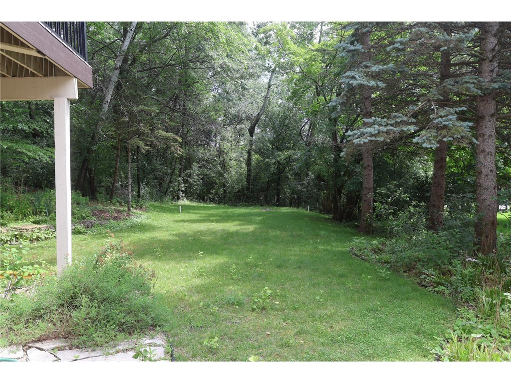 12625 Sable Drive Burnsville MN 55337 6763920 image35