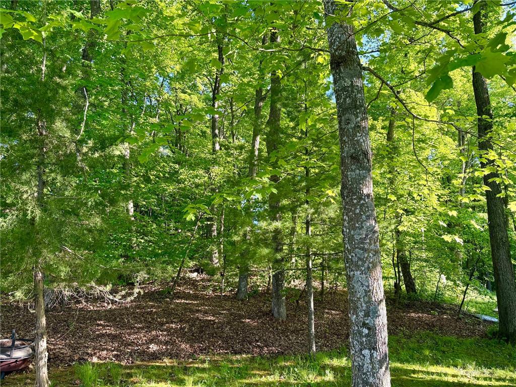 12639 Blackberry Trail Birchdale Twp MN 56378 - Sauk 7090868 image3