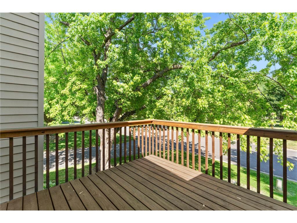 1264 Deercliff Lane Eagan MN 55123 7086009 image14