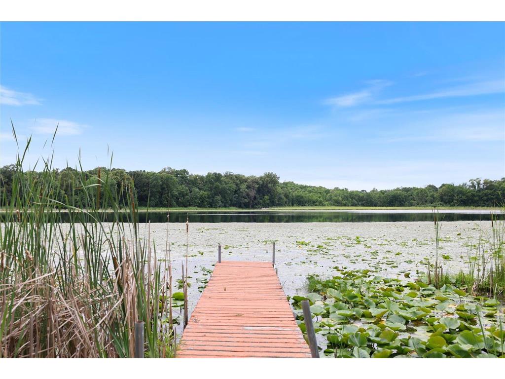 1265 Bice Avenue NW Chatham Twp MN 55313 - South Berthiaume 7104365 image78