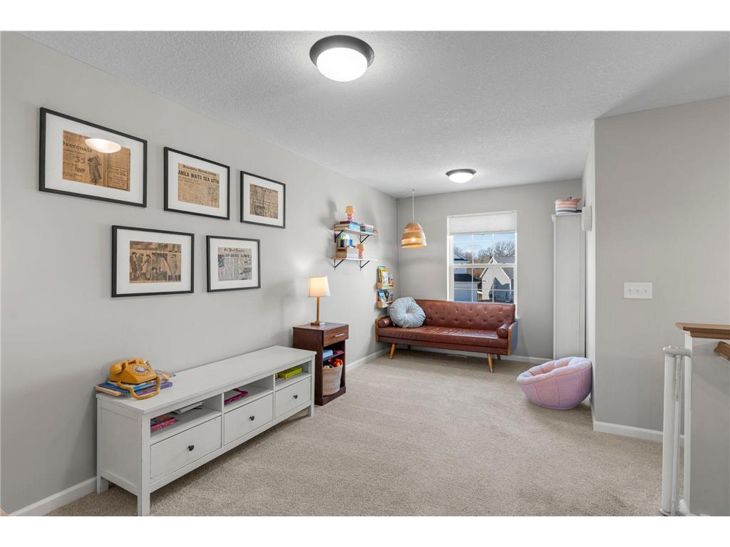 1265 Orchard Court Waconia MN 55387 7042552 image33