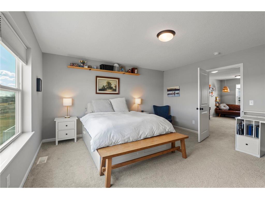 1265 Orchard Court Waconia MN 55387 7042552 image37