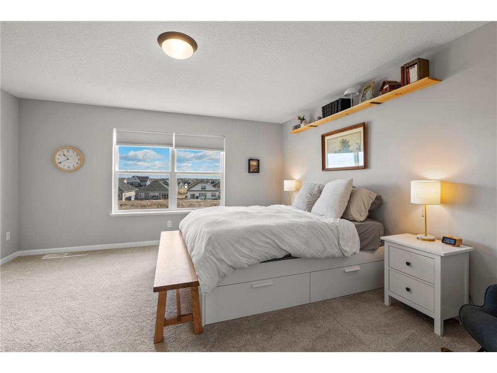 1265 Orchard Court Waconia MN 55387 7042552 image38