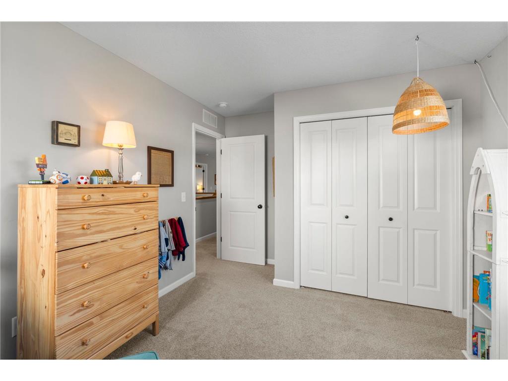 1265 Orchard Court Waconia MN 55387 7042552 image46