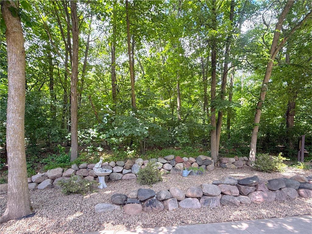 12662 Louisa Court South Haven MN 55382 - Louisa 7114747 image59