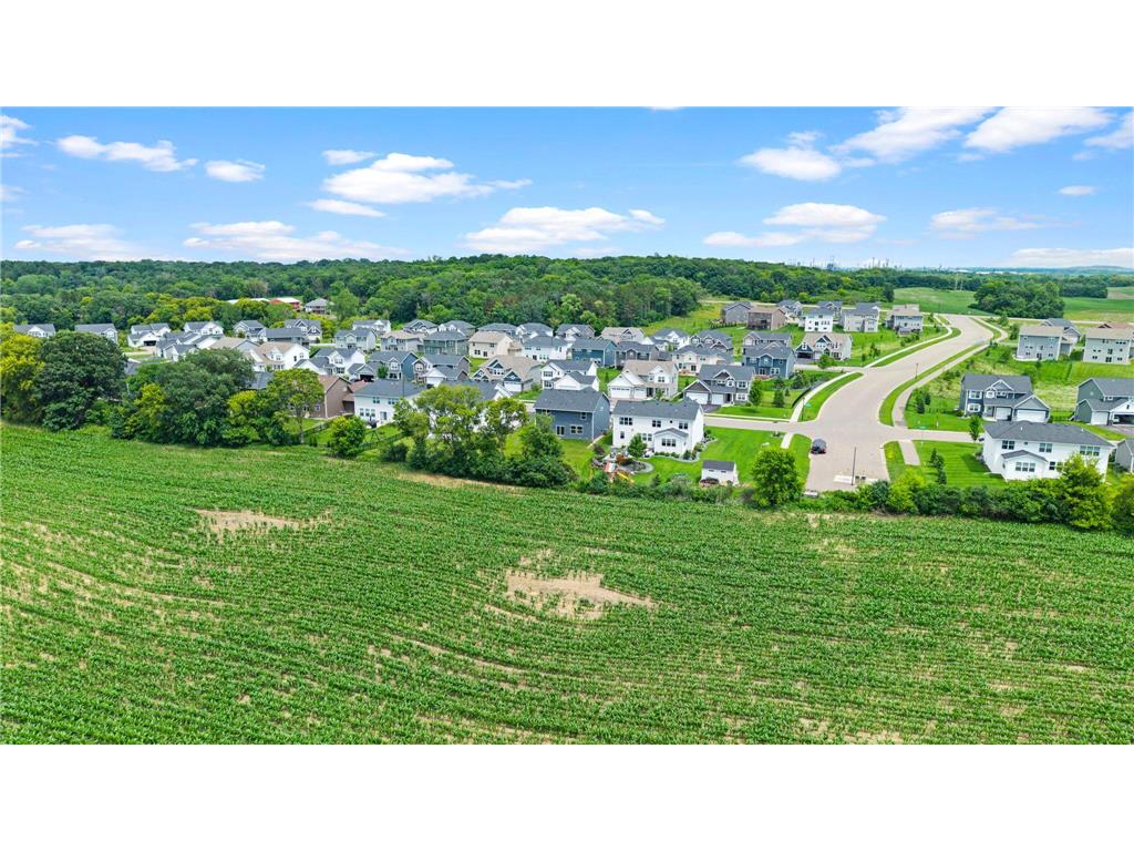 12677 Ardmore Avenue Rosemount MN 55068 7098000 image26