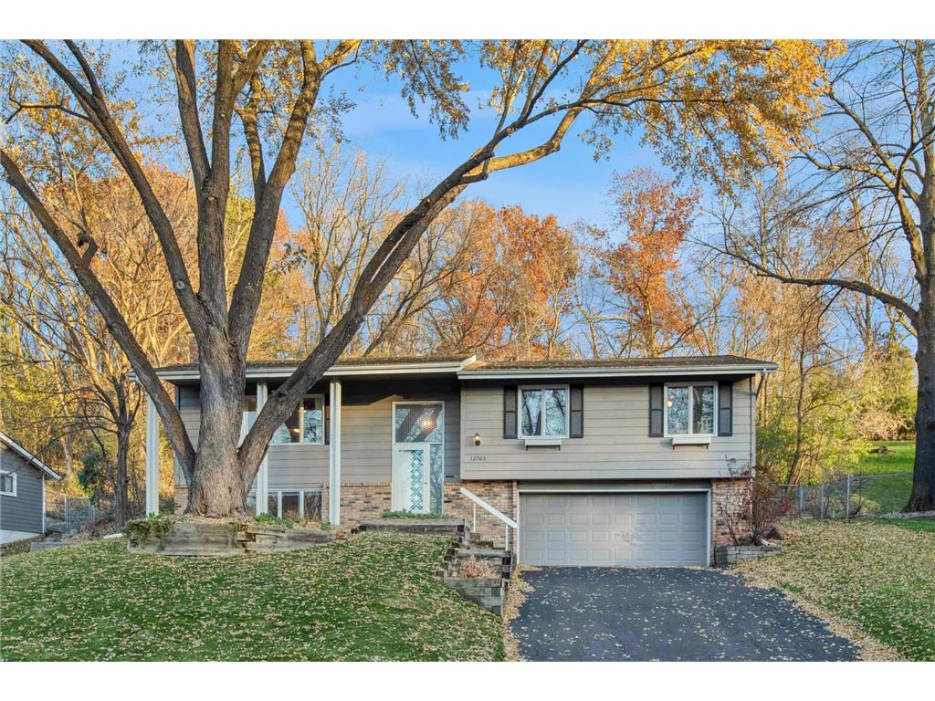 12703 Pheasant Run Burnsville MN 55337 6817263 image1