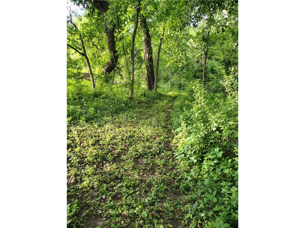 12705 347th Street Chisago Lake Twp MN 55045 7106412 image22
