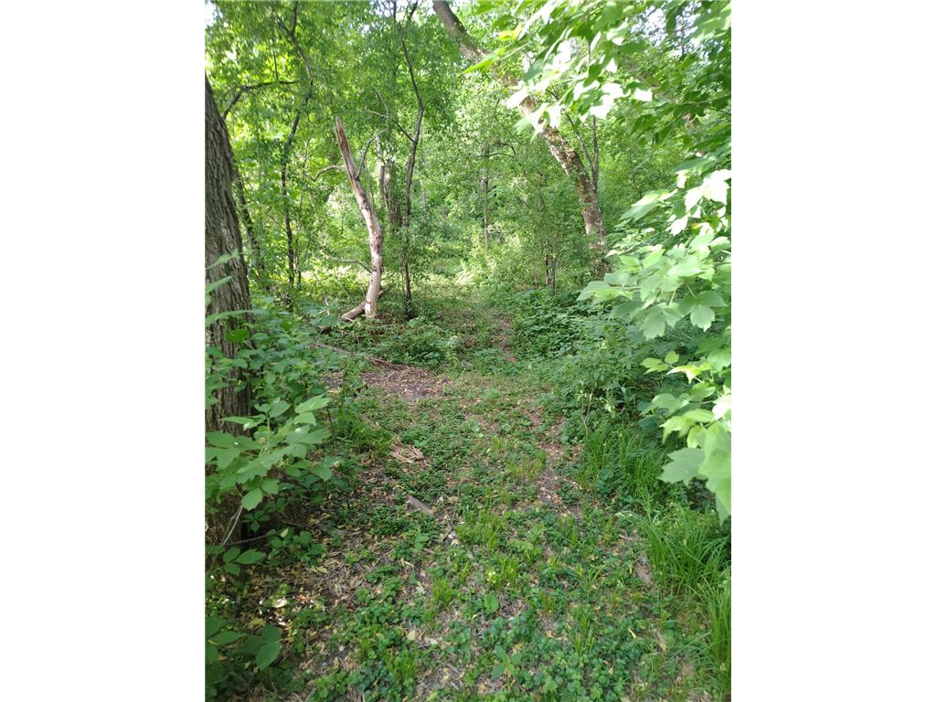 12705 347th Street Chisago Lake Twp MN 55045 7106412 image25