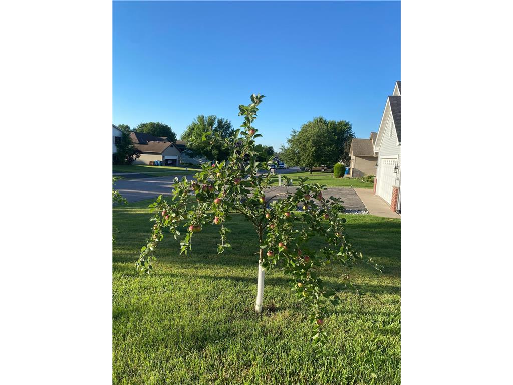 1271 Stone Ridge Road Sauk Rapids MN 56379 7038567 image33