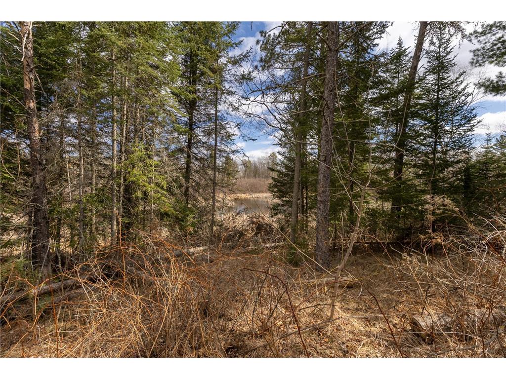 12711 Edgewater Road NW Lammers Twp MN 56601 - Grant 7066196 image40
