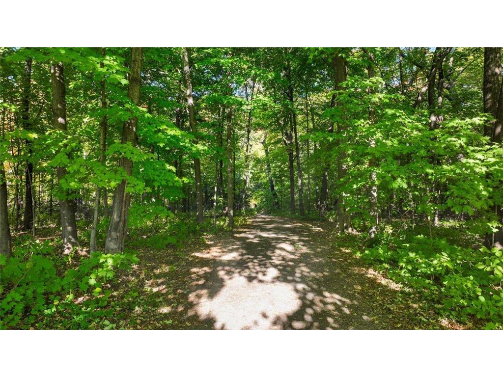 12722 Ashbury Drive Rogers MN 55374 7089171 image41