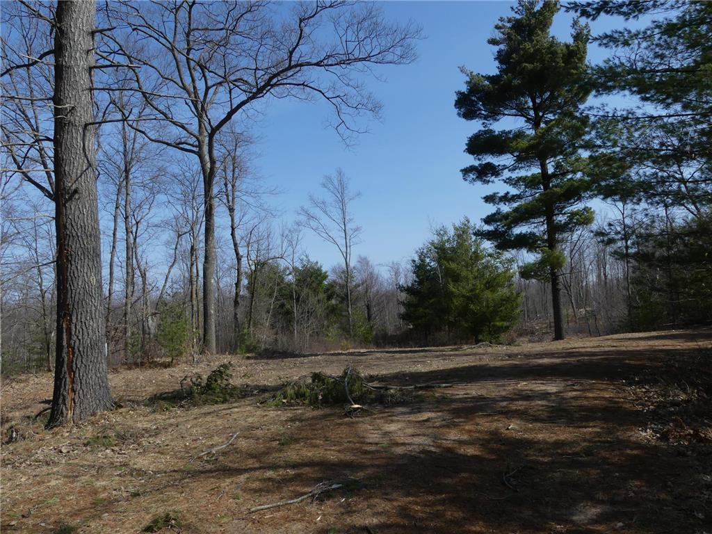 1273 State Road 48, Luck, WI 54853 MLS 6190871 Edina Realty