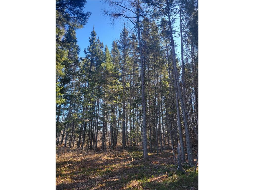 12733 Cr-22 Cook MN 55723 6501973 image1