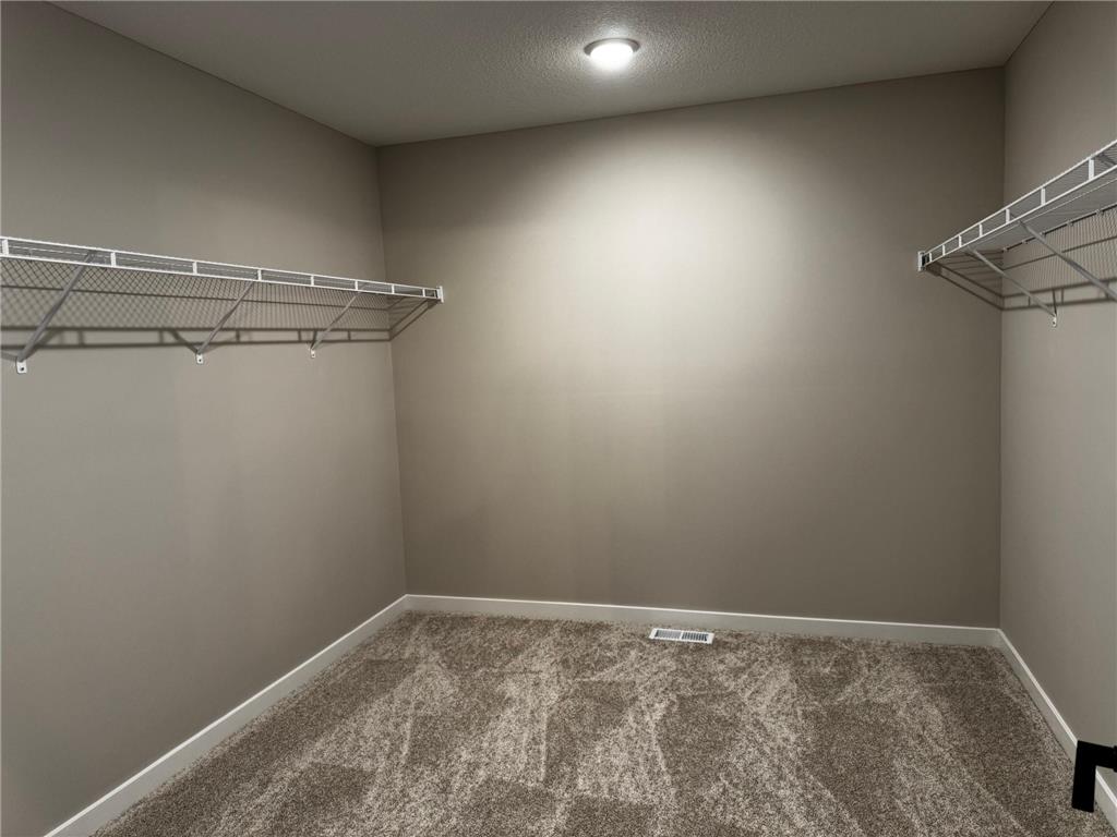 12736 Farnham Lane Rogers MN 55374 7009875 image11