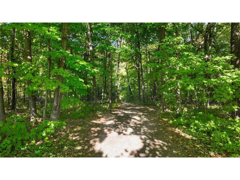 12745 Ashbury Drive Rogers MN 55374 6822639 image41