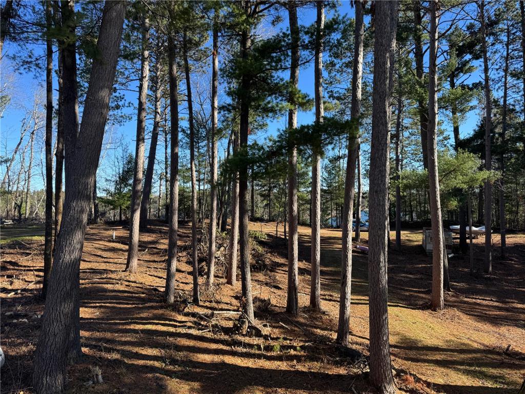 12745 Ecton Trail Bagley MN 56621 - Long Lost 6813387 image24