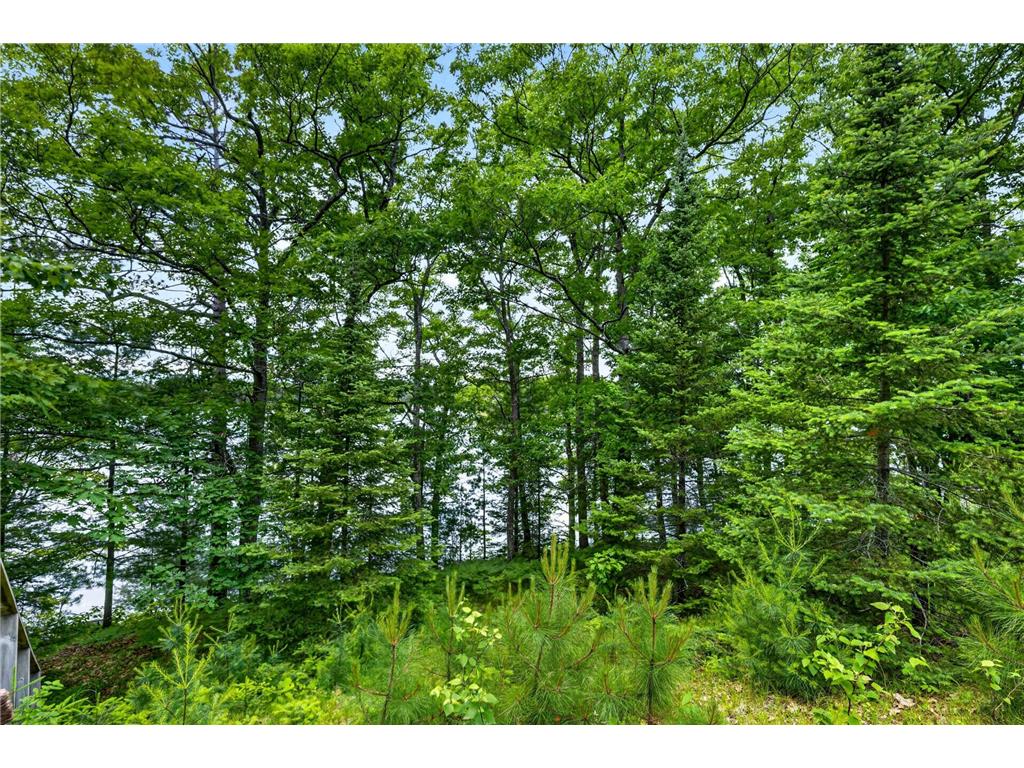 12765 Brady Road Drummond WI 54832 7099132 image33