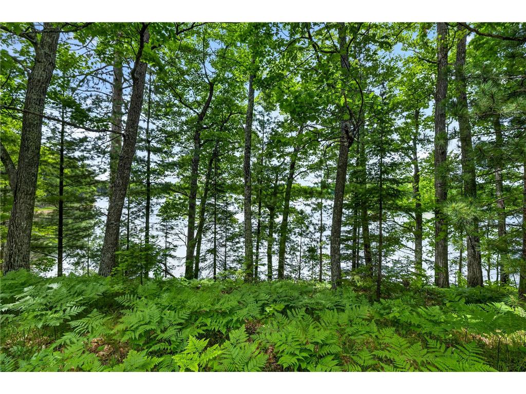 12765 Brady Road Drummond WI 54832 7099132 image35