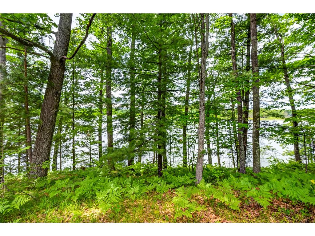 12765 Brady Road Drummond WI 54832 7099132 image37