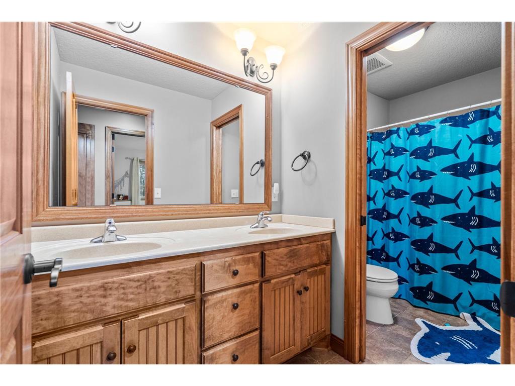 12776 222nd Court NW Elk River MN 55330 6812777 image54