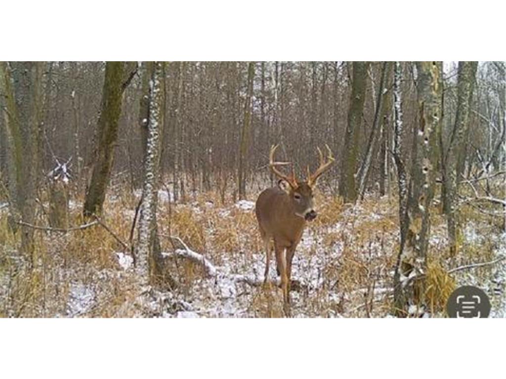 12776 222nd Court NW Elk River MN 55330 6812777 image79