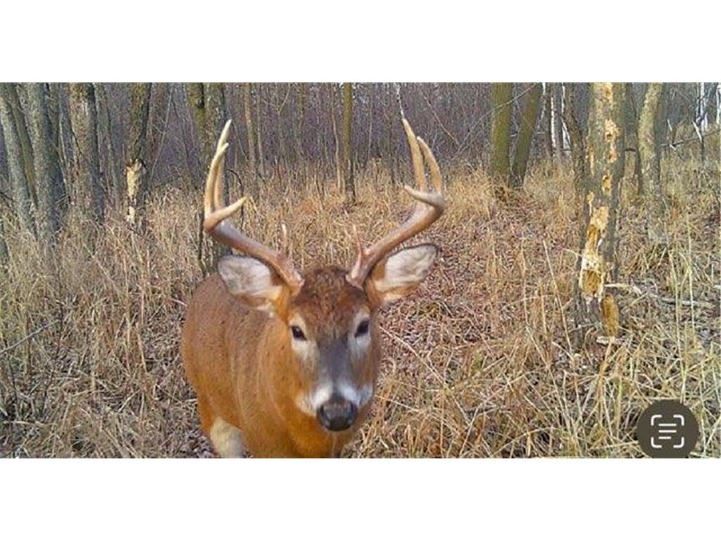 12776 222nd Court NW Elk River MN 55330 6812777 image80