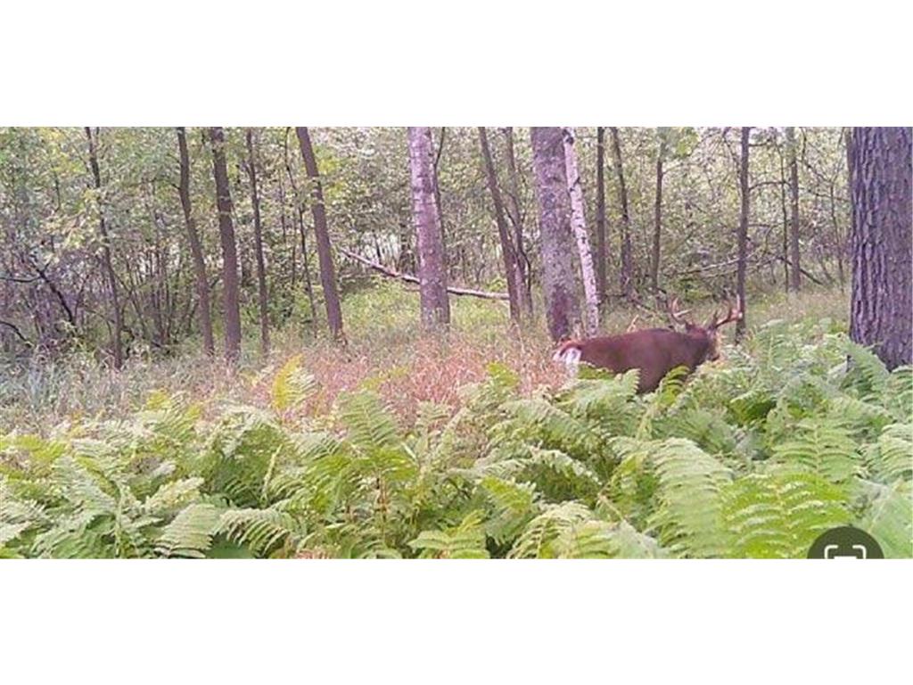 12776 222nd Court NW Elk River MN 55330 6812777 image81