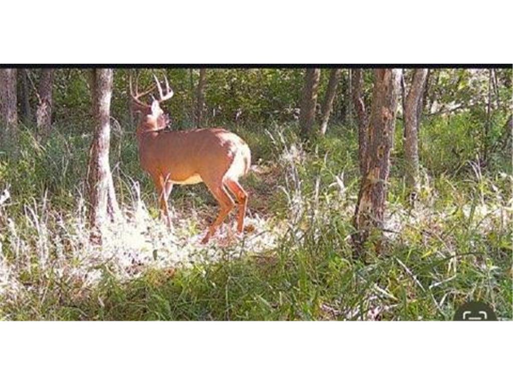 12776 222nd Court NW Elk River MN 55330 6812777 image82