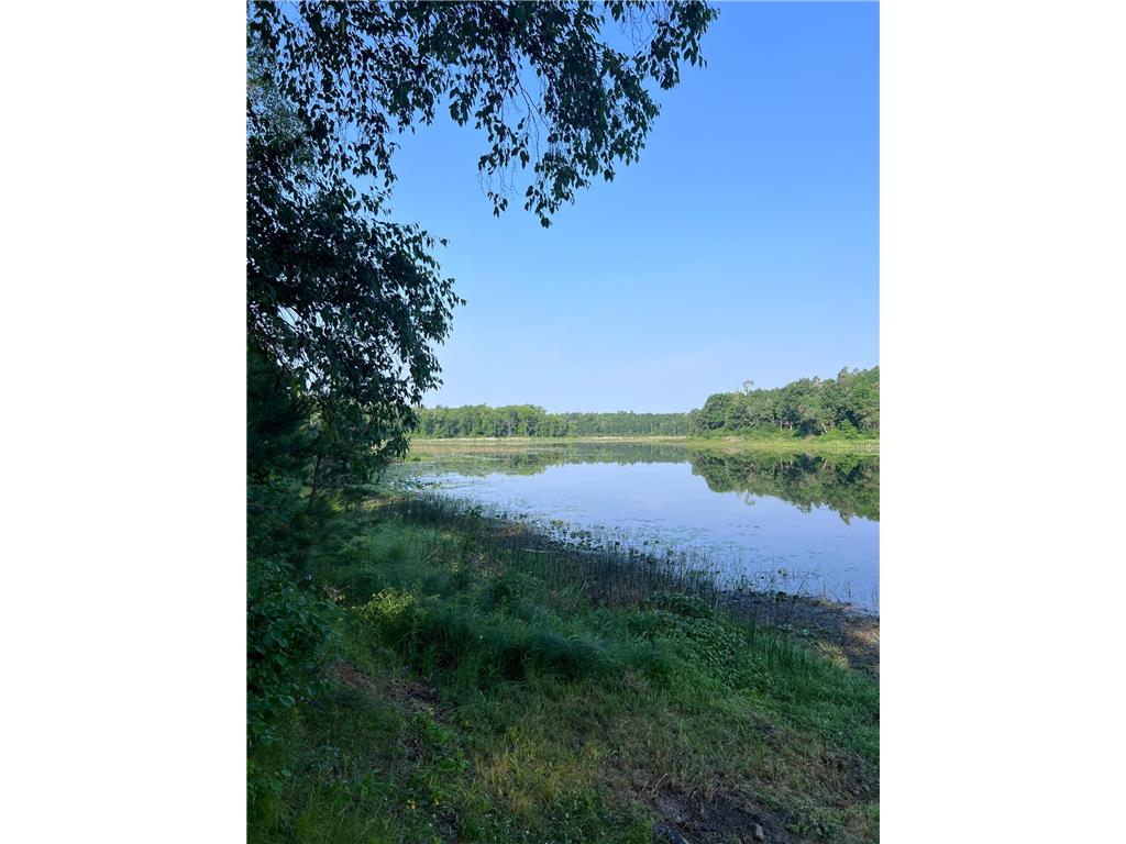 12779 Buckhorn Trail Park Rapids MN 56464 - Moran 7105224 image9