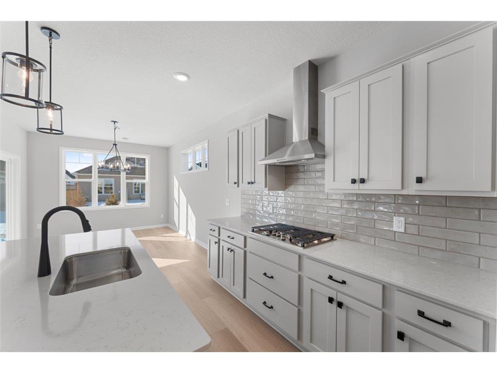 1278 149th Street W Rosemount MN 55068 6824963 image13