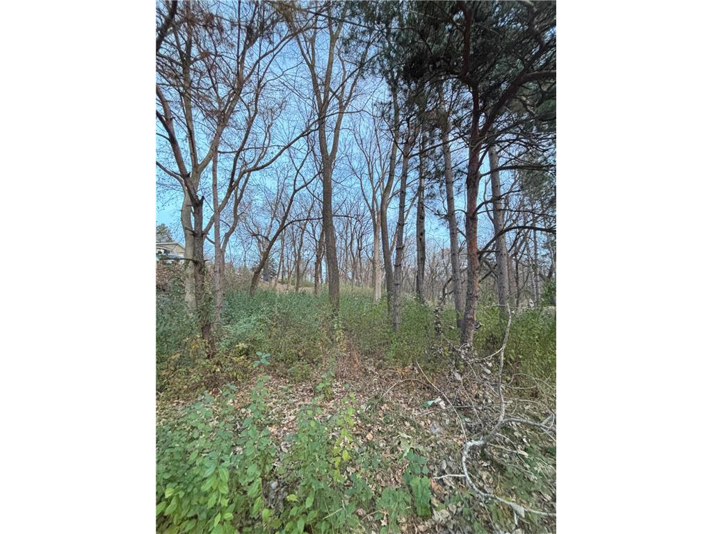 12786 Denmark Avenue Apple Valley MN 55124 6816920 image4