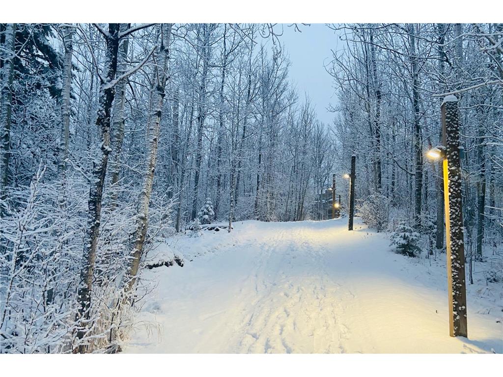 128 Bridge Run Lane #B Lutsen Twp MN 55612 6762615 image29