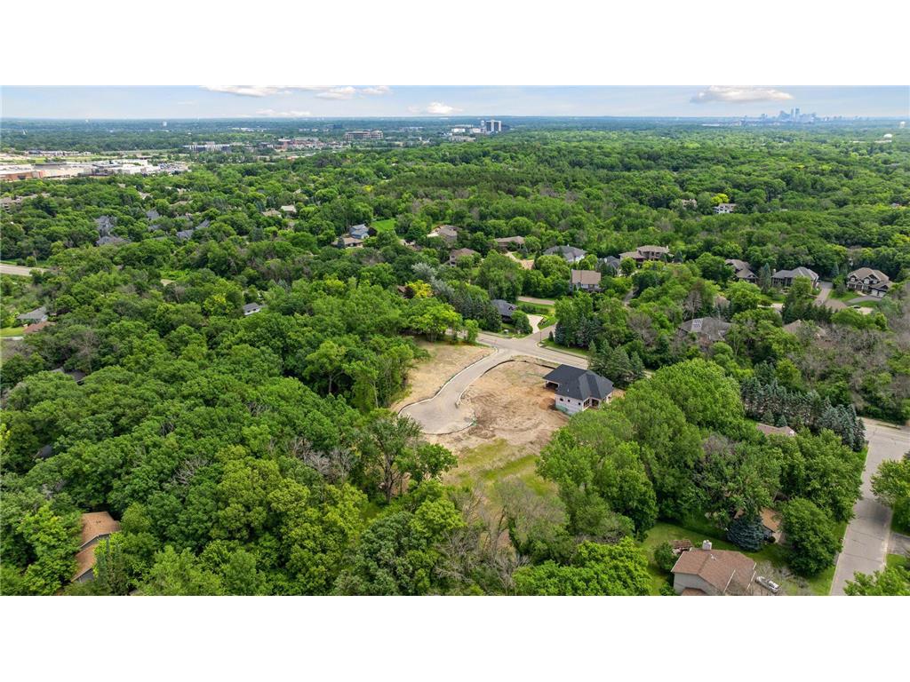 12802 Woodhaven Place Minnetonka MN 55305 6742440 image3