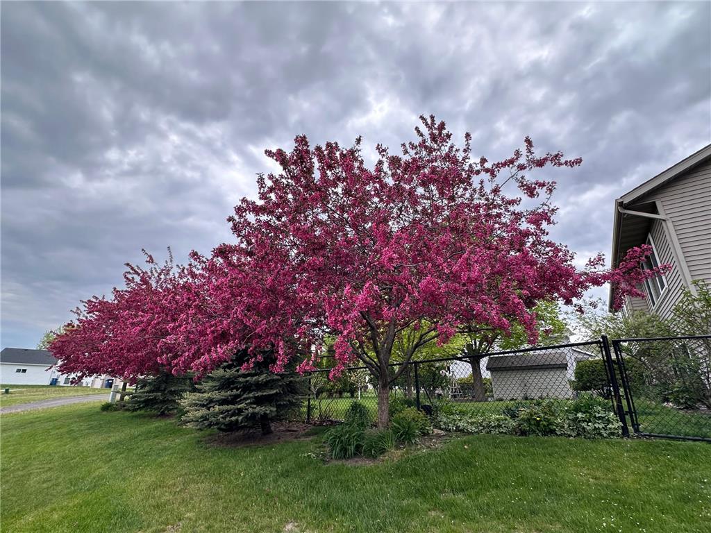 1281 Agate Court Sauk Rapids MN 56379 7088063 image61