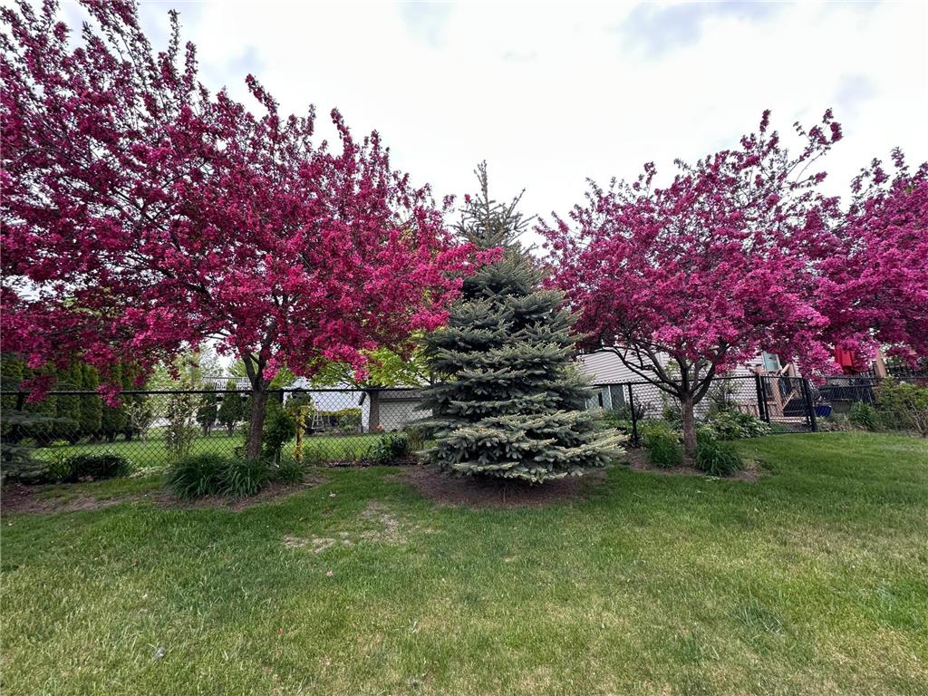1281 Agate Court Sauk Rapids MN 56379 7088063 image62