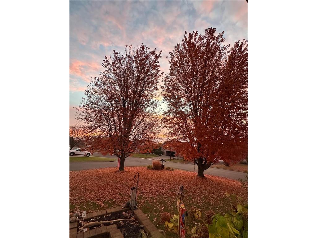 1281 Agate Court Sauk Rapids MN 56379 7088063 image65