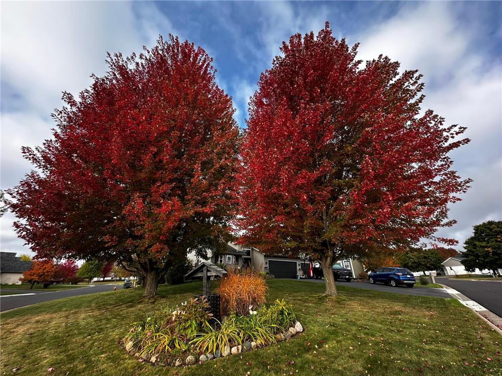 1281 Agate Court Sauk Rapids MN 56379 7088063 image67