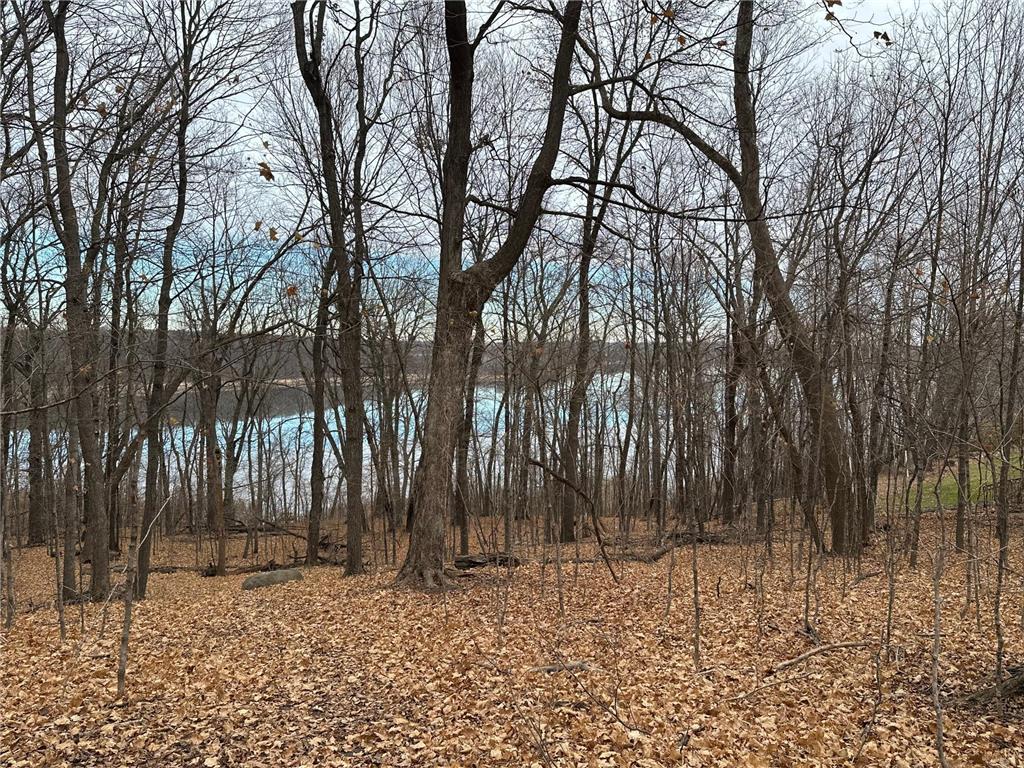 12814 Juniper Road Saint Joseph MN 56374 - Kraemer 7045356 image23