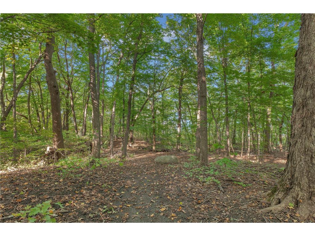 12814 Juniper Road Saint Joseph MN 56374 - Kraemer 7045356 image24