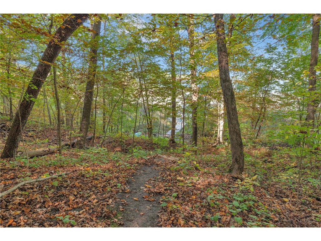 12814 Juniper Road Saint Joseph MN 56374 - Kraemer 7045356 image25