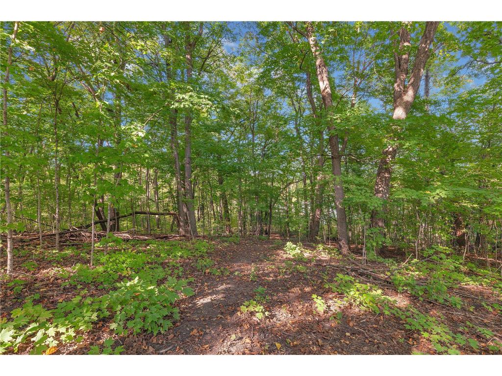12814 Juniper Road Saint Joseph MN 56374 - Kraemer 7045356 image3