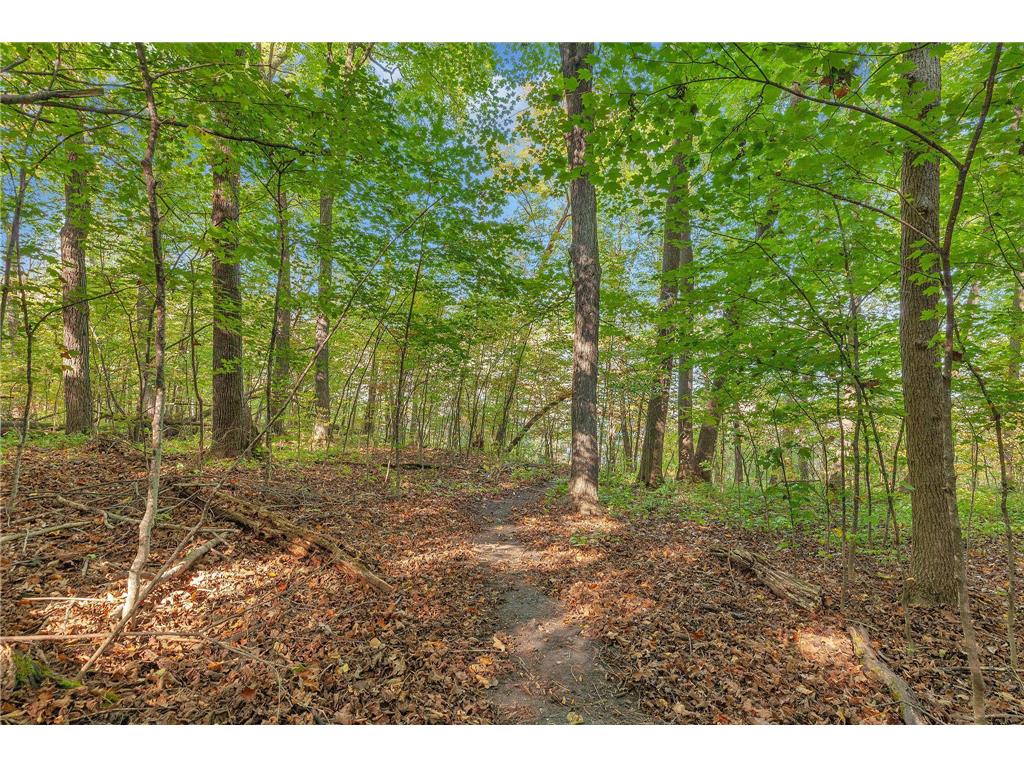 12814 Juniper Road Saint Joseph MN 56374 - Kraemer 7045356 image4