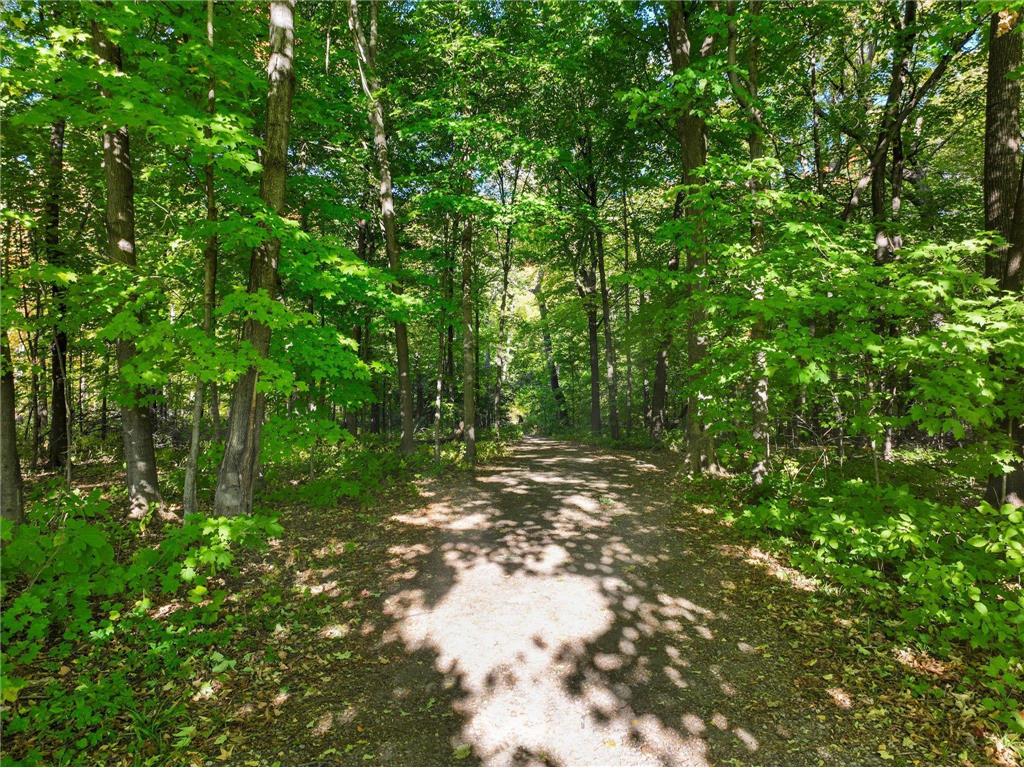 12817 Lawrence Way Rogers MN 55374 6805996 image23