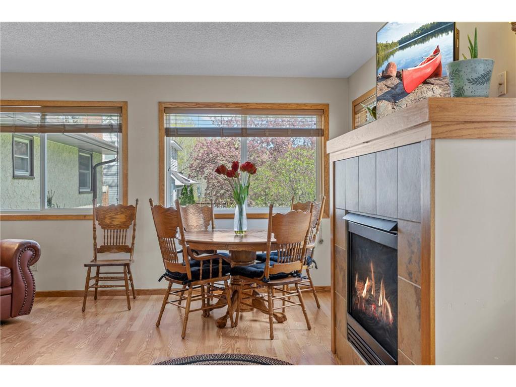 12838 188th Avenue NW Elk River MN 55330 7063638 image19